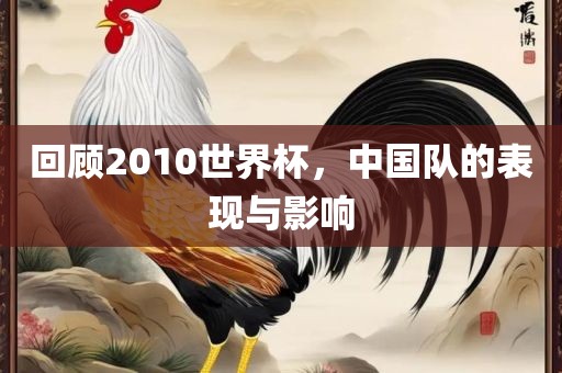 回顾2眉山市正发家政服务有限公司010世界杯，中国队的表现与影响