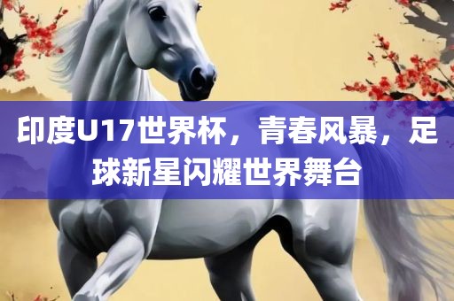 印度U17世界杯，青春风暴，足球新星闪耀世界舞台眉山市正发家政服务有限公司