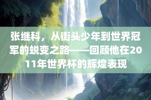 张继科，从街头少年到世界冠军的蜕变之路——回顾他在2011年世界杯的辉煌表现眉山市正发家政服务有限公司