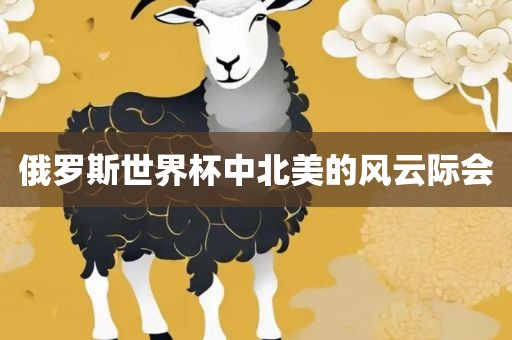 俄罗斯世界杯中北美的风云际会眉山市正发家政服务有限公司