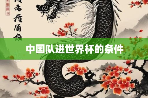 中国队进世界杯的条件