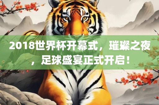 2018世界杯开幕式，璀璨之夜，足球盛宴正式开启！眉山市正发家政服务有限公司