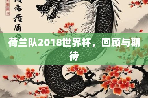 荷兰队2018世界杯，回顾与期待