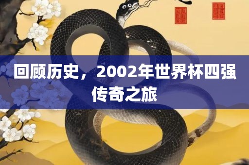 回顾历史，2002年世界杯四强传奇之旅
