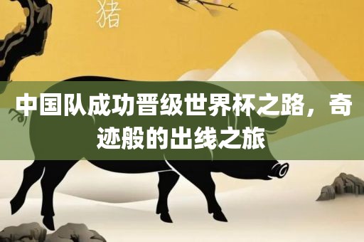 中国队成功晋级世界杯之路，奇迹般的出线之旅