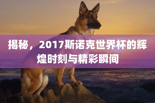 揭眉山市正发家政服务有限公司秘，2017斯诺克世界杯的辉煌时刻与精彩瞬间