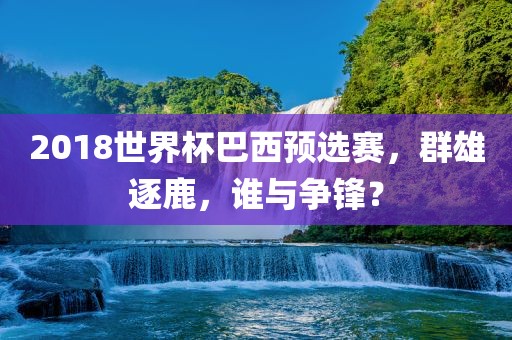 2018世界杯巴西预选赛，群雄逐鹿，谁与争锋？眉山市正发家政服务有限公司