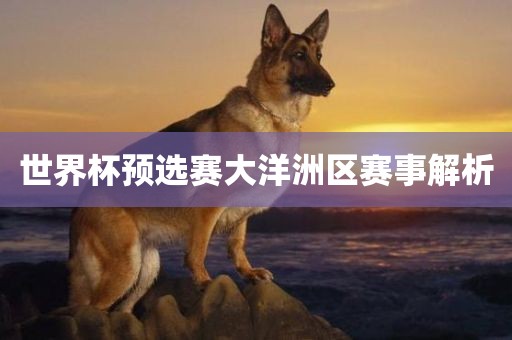 世界杯预选赛眉山市正发家政服务有限公司大洋洲区赛事解析