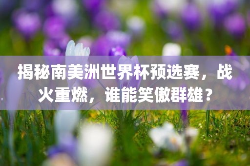 揭秘南美洲世界杯预选赛，战火重燃，谁能笑傲群雄？眉山市正发家政服务有限公司