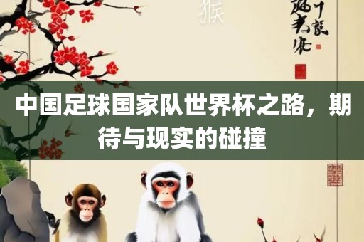 中国足球国家队世界杯之路，期待与现实的碰撞