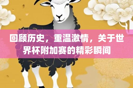 回顾历史，重温激情，关于世界杯附加赛的精彩瞬间