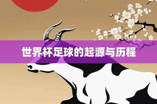 世界杯足球的起源与历程眉山市正发家政服务有限公司
