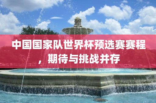 中国国家队眉山市正发家政服务有限公司世界杯预选赛赛程，期待与挑战并存