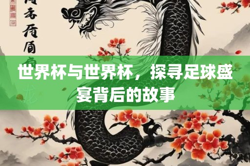 世界杯与世界杯，探寻足球盛宴背后的故事眉山市正发家政服务有限公司