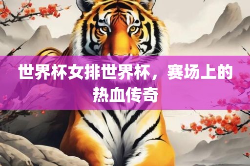 世界杯女排世界杯，赛场上的热血传奇