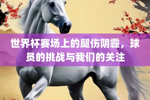 zhaojiaying 第5页