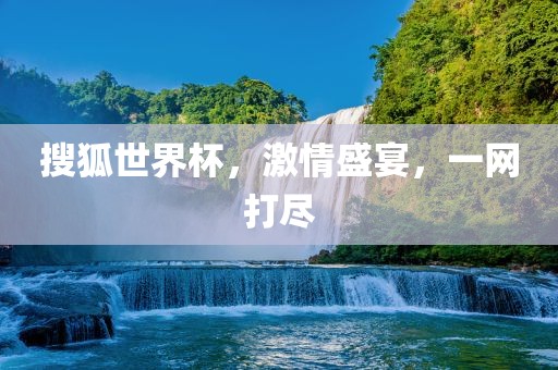 搜狐世界杯，激情盛宴，一网打尽