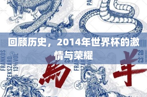 回顾历史，2014年世界杯的激情与荣耀