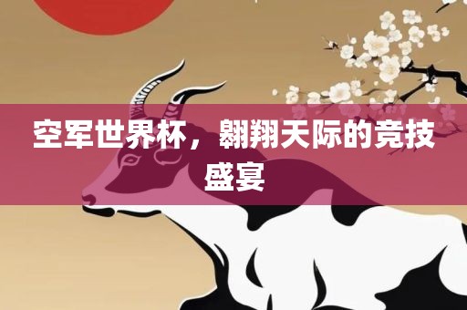 空军世界杯，翱翔天际的竞技盛宴眉山市正发家政服务有限公司