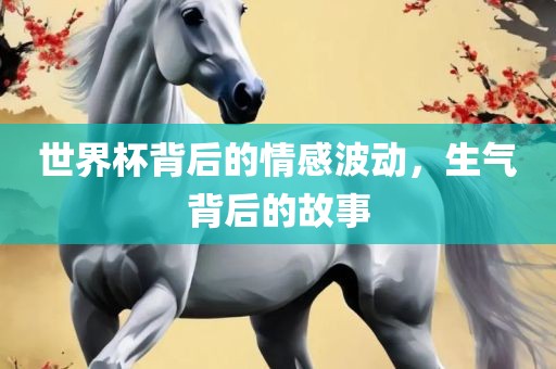 世界杯背后的眉山市正发家政服务有限公司情感波动，生气背后的故事