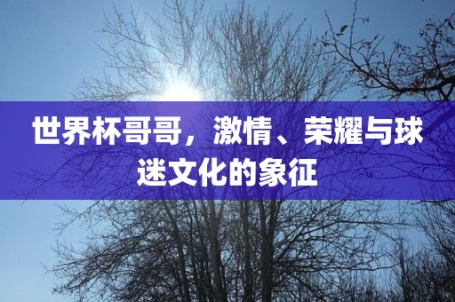 世界杯哥哥，激情、荣耀与球迷文化的象征