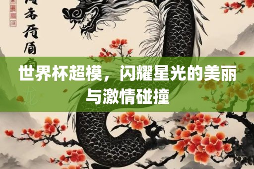世界杯超模，闪耀星光的美丽与激情碰撞眉山市正发家政服务有限公司