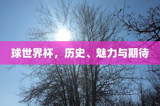 世界杯历史