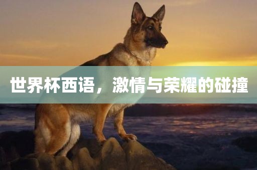 世界杯西语，激情与荣耀的碰撞