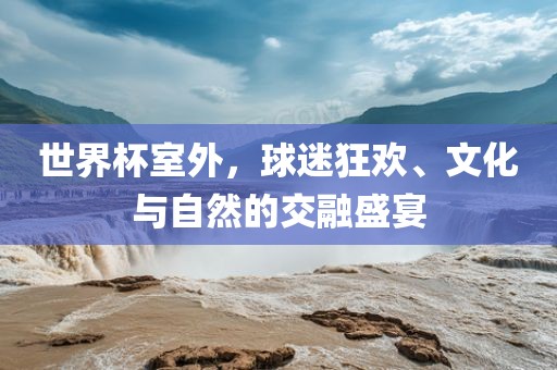 世界杯室外，球迷狂欢、文化与自然的交融盛宴眉山市正发家政服务有限公司