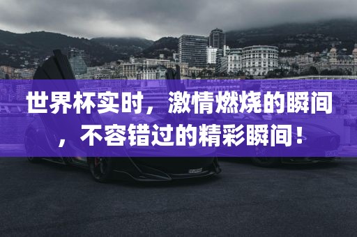 世界杯实时，激情燃烧的瞬间，不容错过的精彩瞬间！眉山市正发家政服务有限公司