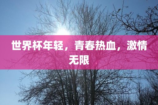 世界杯年轻，青春热血，激情无限眉山市正发家政服务有限公司