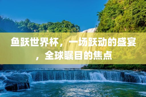 鱼跃世界杯，一场跃动的盛宴，全球瞩目的焦点眉山市正发家政服务有限公司