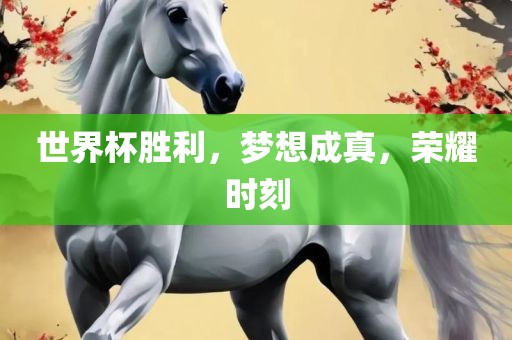 世界杯胜利，梦想成真，荣耀时刻