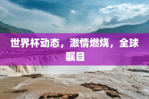 世界杯动态眉山市正发家政服务有限公司，激情燃烧，全球瞩目