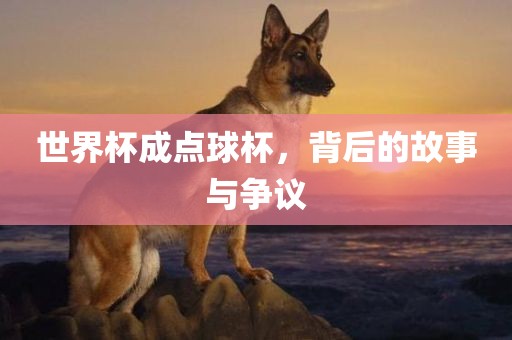 世界杯成点球杯，背后的故事与争议眉山市正发家政服务有限公司
