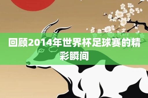 回顾2014年世界杯足球赛的精彩瞬间眉山市正发家政服务有限公司
