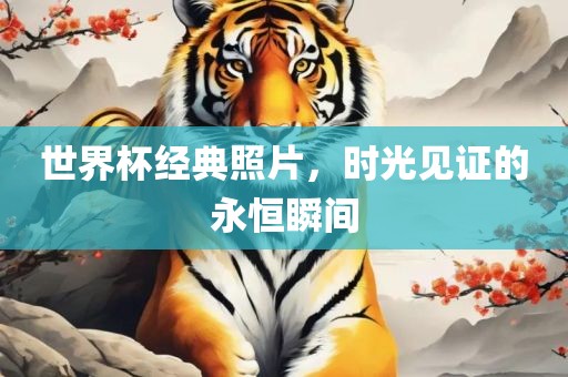 世界杯经典照片，时光见证的永恒瞬间