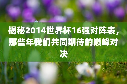 揭秘2014世界杯1眉山市正发家政服务有限公司6强对阵表，那些年我们共同期待的巅峰对决