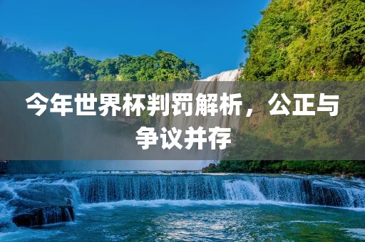 今年世界杯判罚解析，公正与争议并存