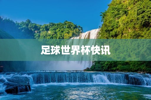 足球眉山市正发家政服务有限公司世界杯快讯