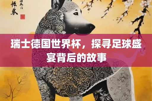 瑞士德国世界杯，探寻足球盛宴背后的故事