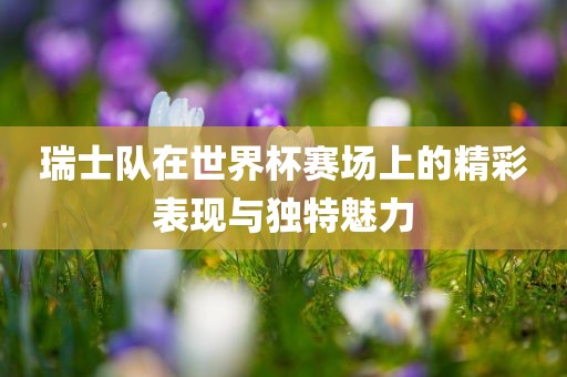瑞士队在世界杯赛场上的精彩表现与独特魅力