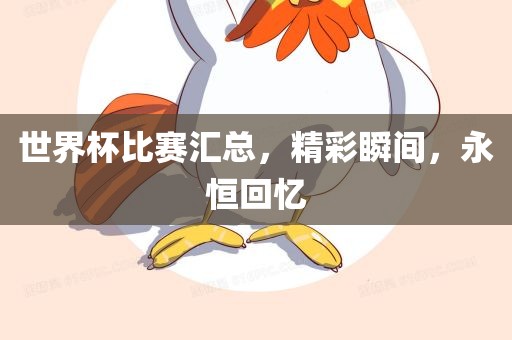 世界杯比赛汇总，精彩瞬间，永恒回忆