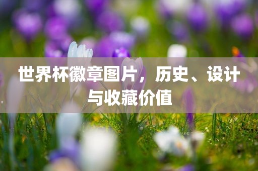 世界杯徽章图片，历史、设计与收藏价值眉山市正发家政服务有限公司