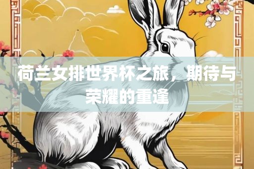 荷兰女排世界杯之旅，期待与荣耀的重逢眉山市正发家政服务有限公司