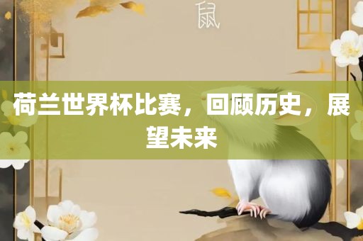 荷兰世界杯比赛，回顾历史，展望未眉山市正发家政服务有限公司来