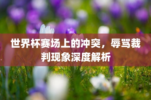 世界杯赛场上的冲突，辱骂裁判现象深度解析眉山市正发家政服务有限公司