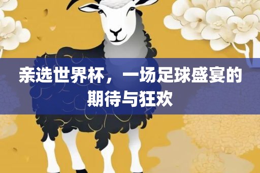 亲选世界杯，一场足球盛宴的期待与狂欢眉山市正发家政服务有限公司