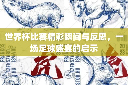 世界杯比赛精彩瞬间与反思，一场足球盛宴的启示