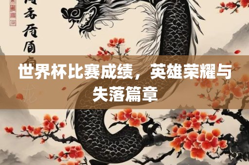 世界杯比赛成绩，英雄荣耀与失落篇章眉山市正发家政服务有限公司
